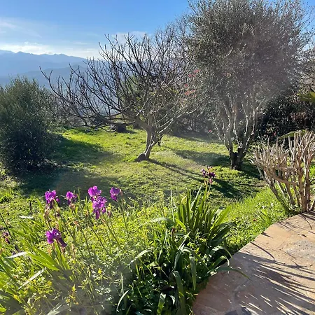 Bed & Breakfast Carpediem_corsica Poggio-d'Oletta